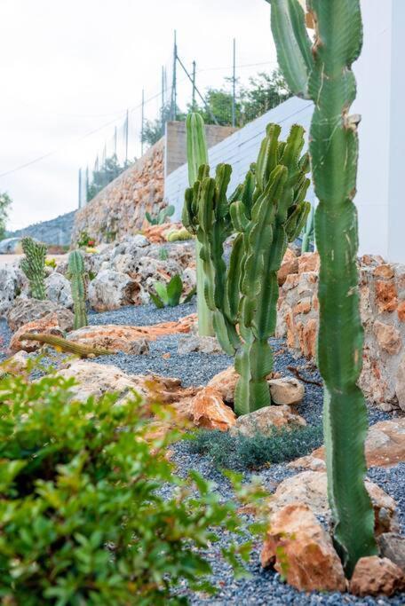 Agro Nostro-Agave With Superb View Villa Agios Nikolaos  Exterior photo